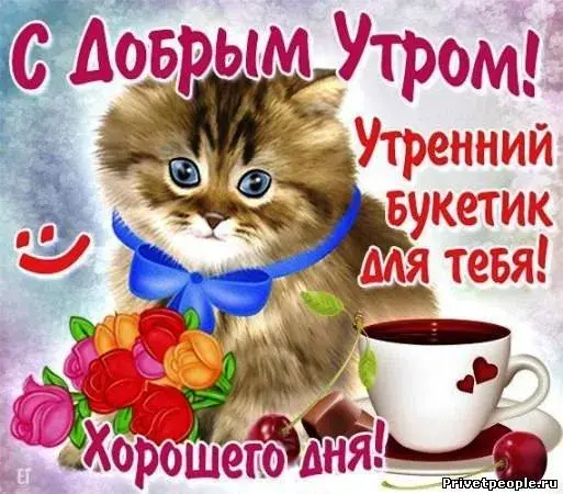 Открытка открытки с добрым утром - Открытка с котенком и цветами: С добрым утром! | Красивая открытка #44
