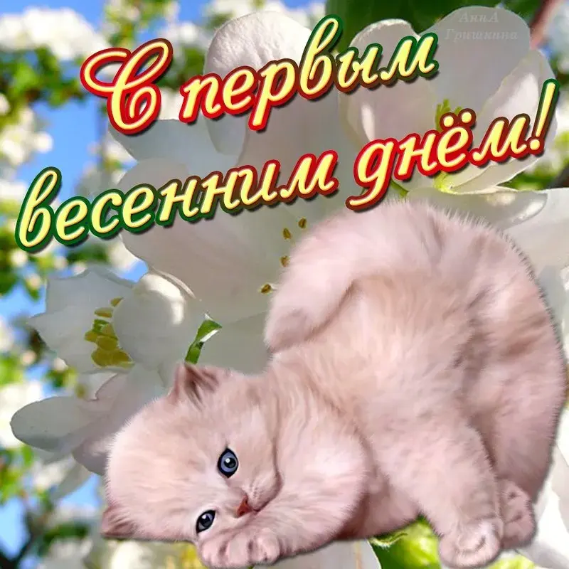 Открытка С первым днём весны - Милый котенок на открытке  С днем! | Красивая открытка #36