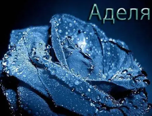 Открытка Открытки с именем Адель - Голубая роза с каплями росы. Открытка. | Красивая открытка #132