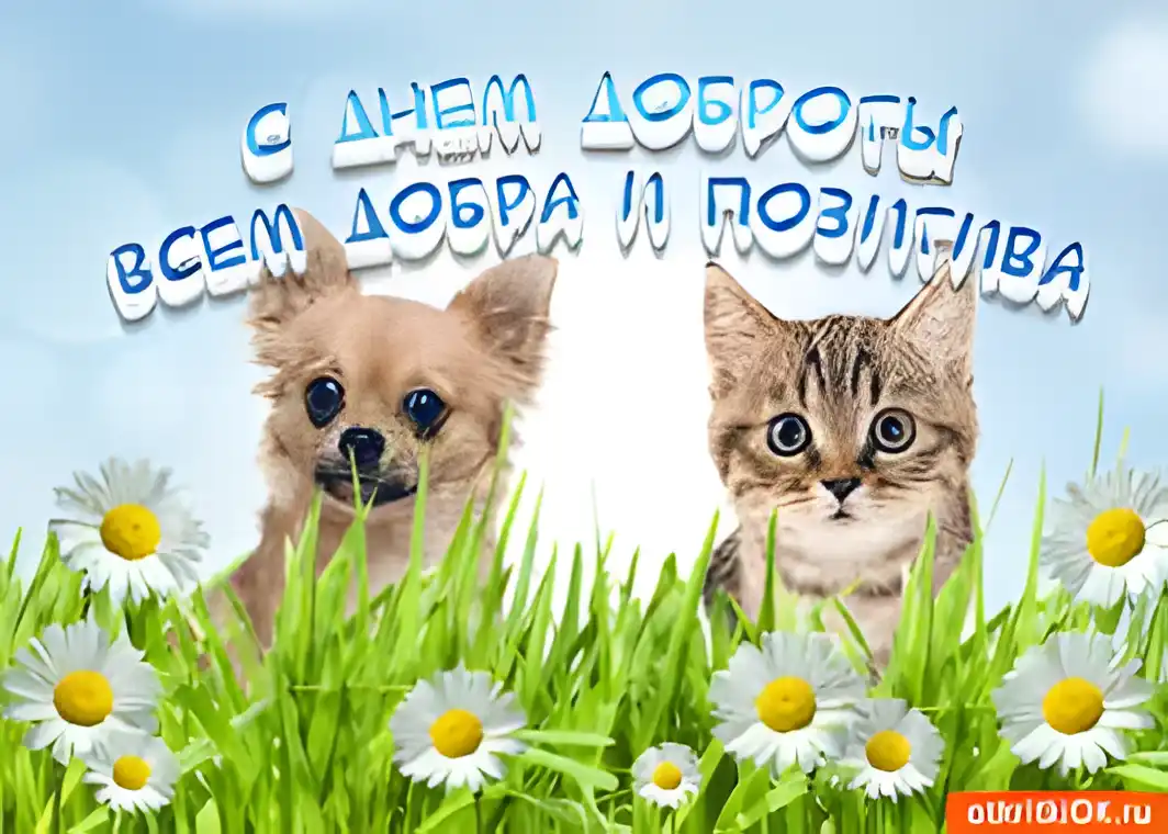 Открытка День доброты - Открытка с щенком и котенком на лугу | Красивая открытка #66