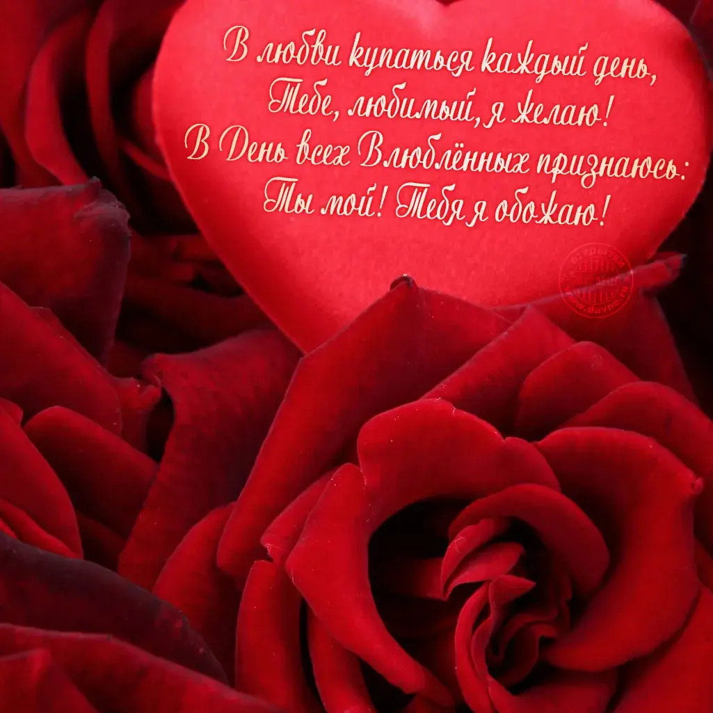 Открытка 14 февраля день всех влюбленных - Красные розы: нежные чувства и любовь | Красивая открытка #43