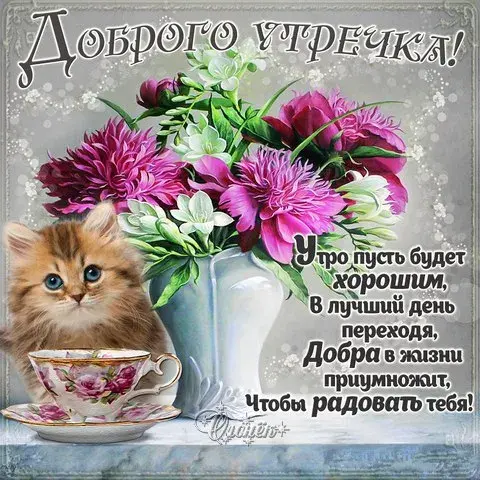Открытка Доброе утро - Открытка с котенком и цветами: Доброе утро! | Красивая открытка #24