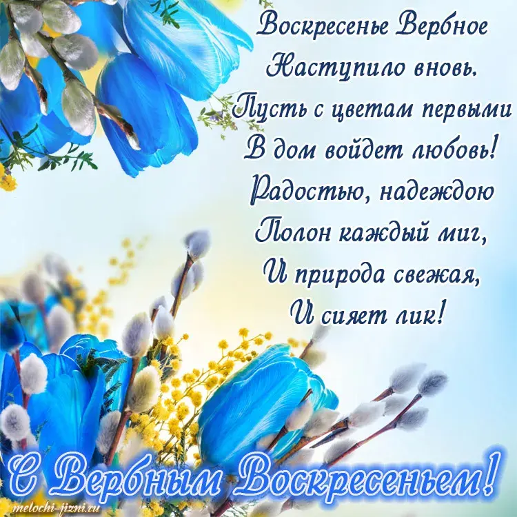 Открытка С вербным воскресеньем - Открытка с вербой и голубыми цветами | Красивая открытка #57