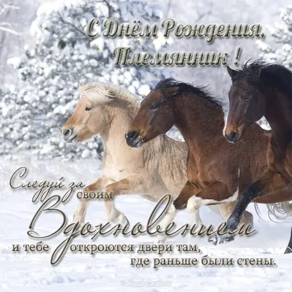 Открытка Племяннику - Открытка с лошадьми в снегу  поздравление с Днем рождения | Красивая открытка #24