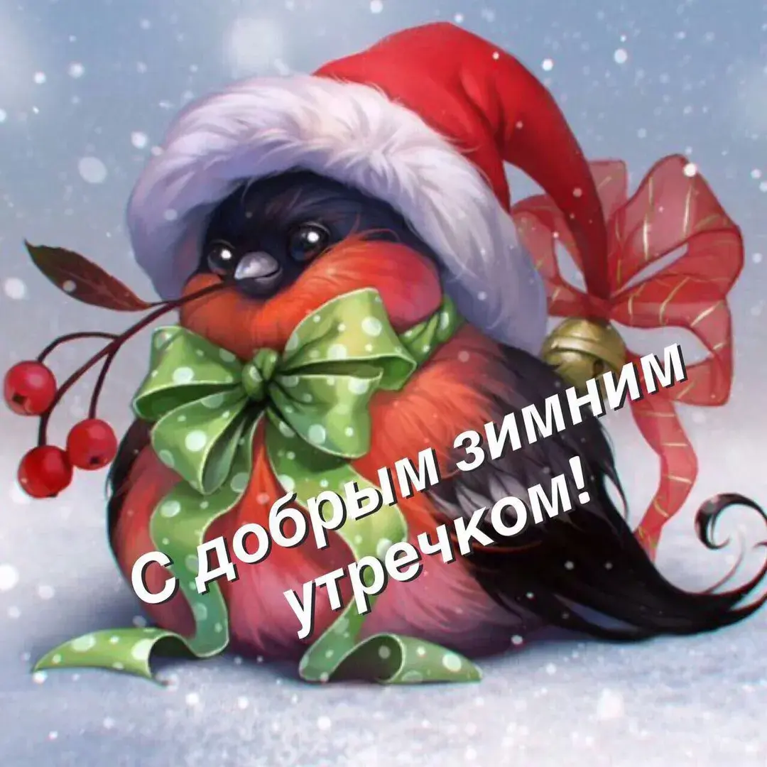 Открытка Доброе утро - Птица в шапке с ягодами. Новогодняя открытка | Красивая открытка #506