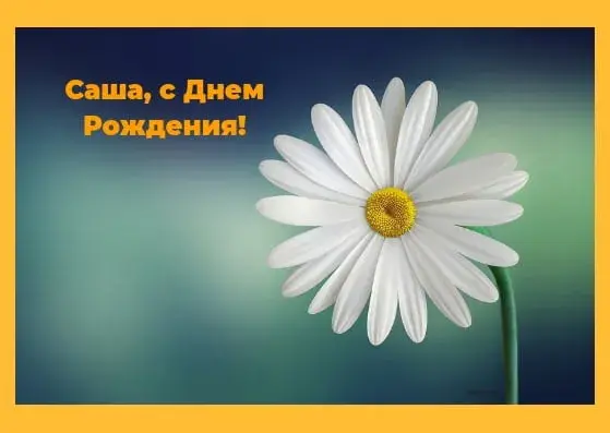 Открытка открытки с именем Александр - Белая ромашка на фоне голубого градиента | Красивая открытка #234