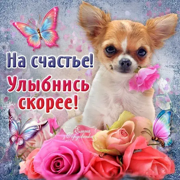 Открытка День счастья - Открытка с щенком и цветами: С Днем Рождения! | Красивая открытка #60