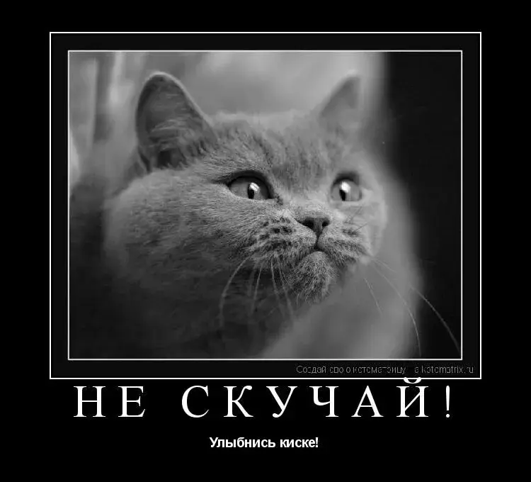 Открытка Не скучай - Не скучай: милый кот для открытки | Красивая открытка #28