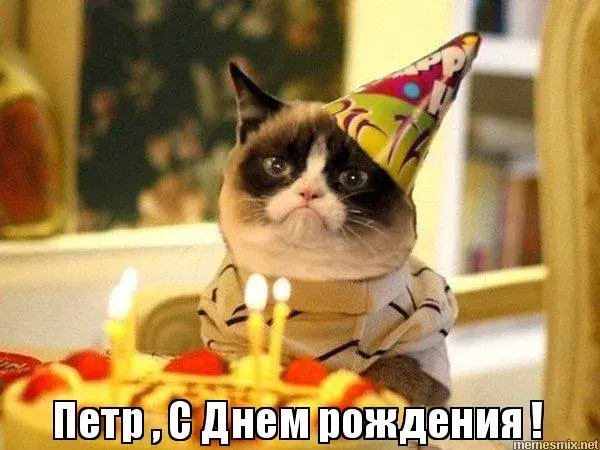 Открытка Открытки с именем Петр - Кот с Днём рождения: смешная открытка с тортом | Красивая открытка #68