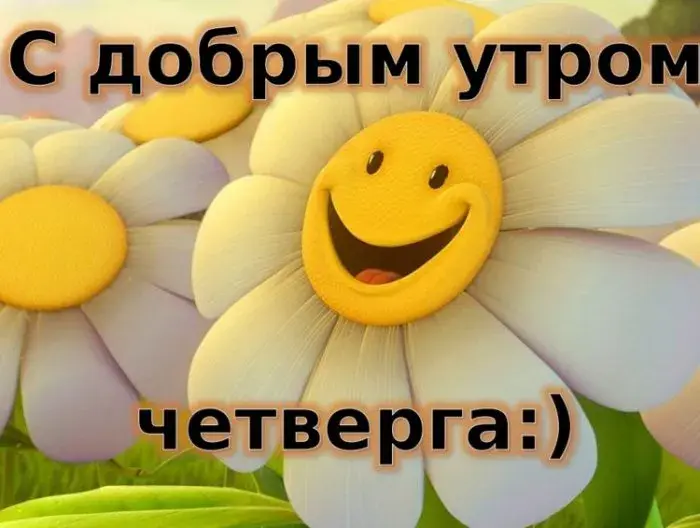Открытка Доброе утро четверг - Симпатичные цветы | Красивая открытка #31