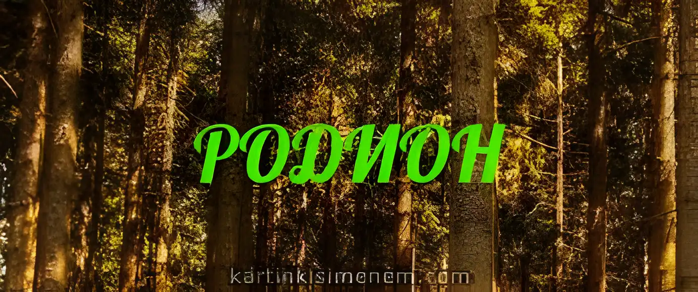 Открытка Открытки с именем Родион  - Открытка с хвойным лесом | Красивая открытка #74