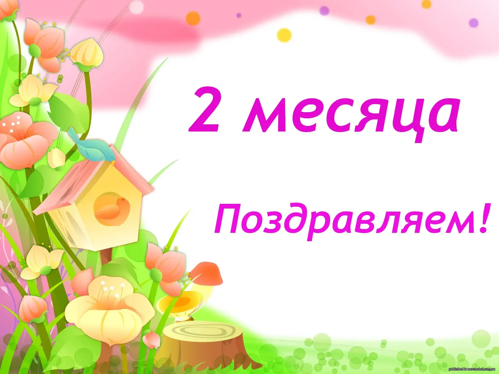 Открытка деские по месяцам - Открытка с цветами и птичками | Красивая открытка #110