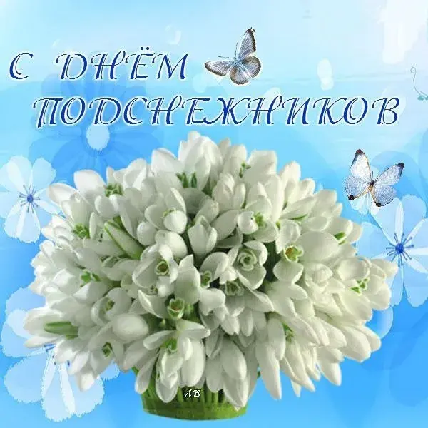 Открытка День подснежника - Открытка с цветущими белыми цветами и бабочками | Красивая открытка #23