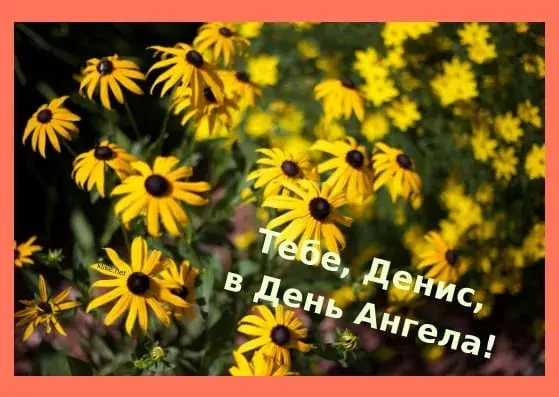 Открытка открытки с именем Денис - Полевые цветы: поздравления с Днем Ангела | Красивая открытка #189
