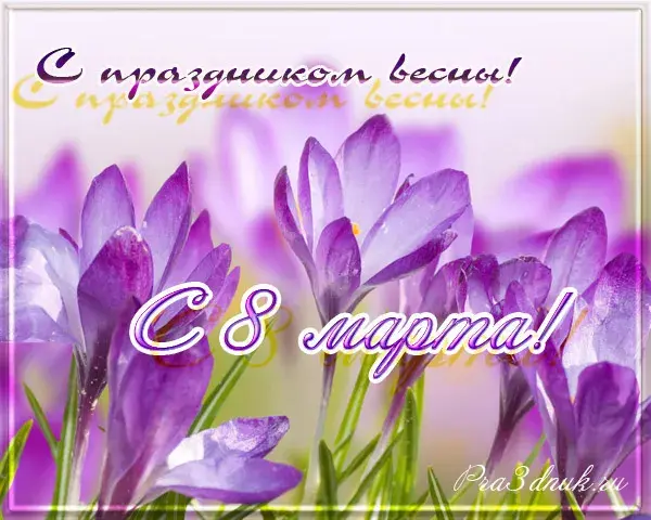 Открытка С крокусами - Открытка с фиалками: С 8 марта! | Красивая открытка #32