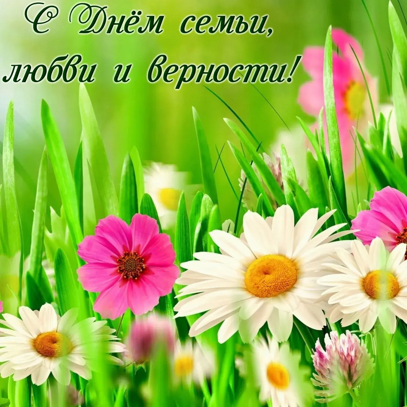 Открытка С днём семьи любви и верности - Полевые цветы: ромашки, люпины и разнотравье | Красивая открытка #43