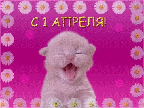 Открытка День смеха (1 апреля) - Открытка: С Днём Рождения! Милый котёнок | Красивая открытка #11