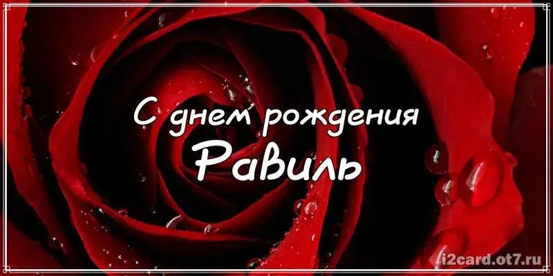 Открытка Открытки с именем Равиль - Открытка с красной розой: С днем рождения! | Красивая открытка #127