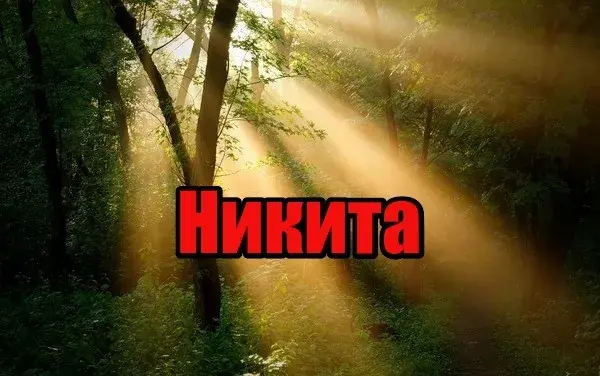 Открытка Открытки с именем Никита - Солнечный лес: открытка с лучами света | Красивая открытка #67