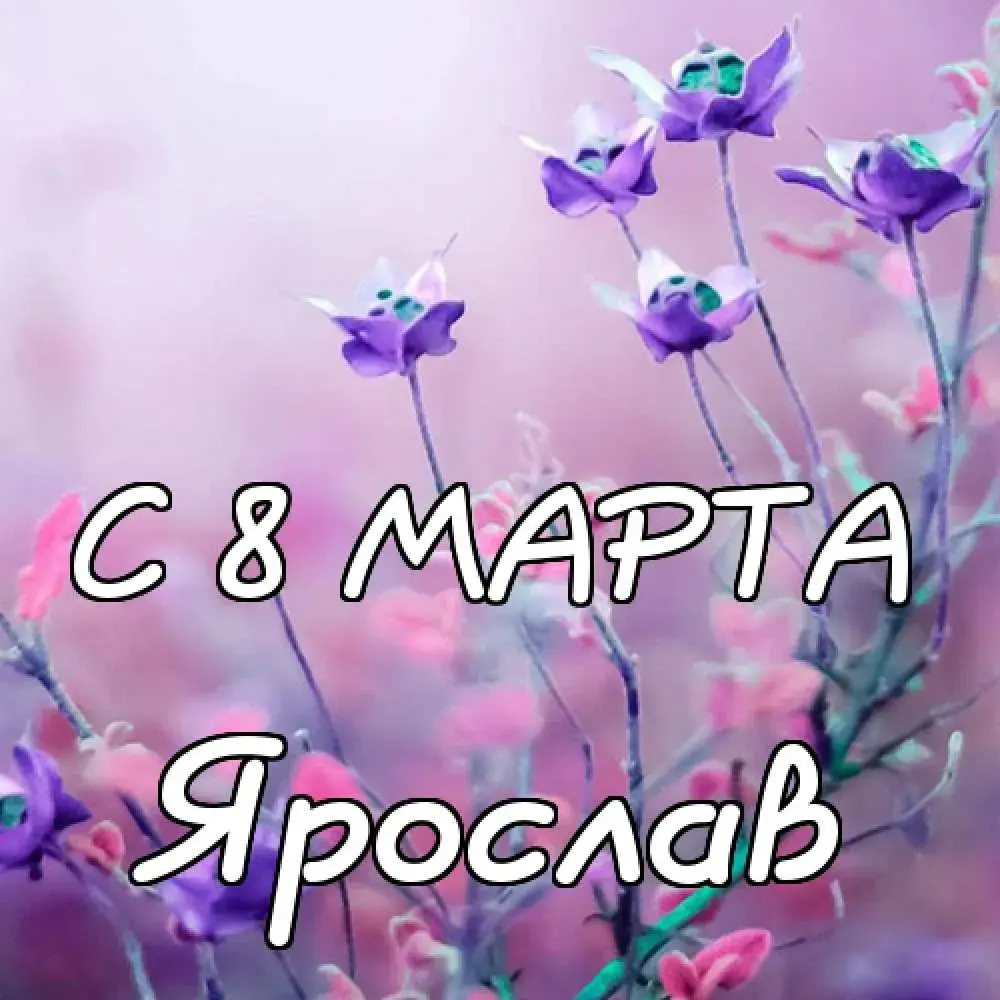 Открытка Открытки с именем Ярослав  - С Днём 8 Марта: Красивая открытка с цветами | Красивая открытка #140