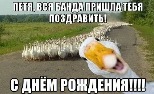 Открытка Открытки с именем Петр - Утка с яйцом: смешная открытка с днем рождения | Красивая открытка #194
