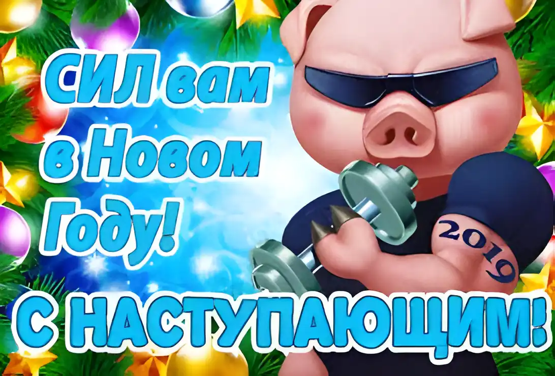 Открытка Открытки с наступающим Новым Годом - Открытка С Новым Годом: Свинья с гантелями | Красивая открытка #112