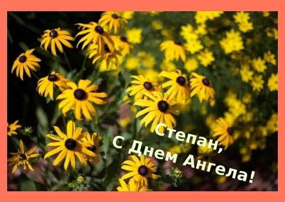 Открытка Открытки с именем Степан - Полевые цветы: открытка с днем рождения | Красивая открытка #194