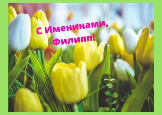 Открытка Открытки с именем Филлип - Яркие тюльпаны: открытка с цветами | Красивая открытка #82