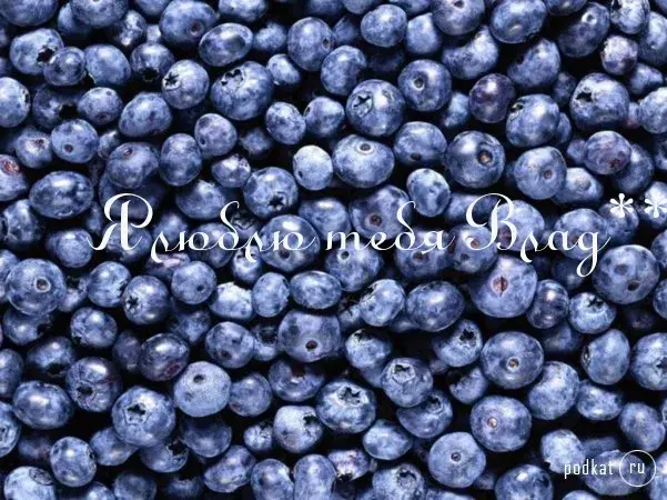 Открытка открытки с именем Владислав  - Открытка с голубикой: яркий фон, природная красота | Красивая открытка #65