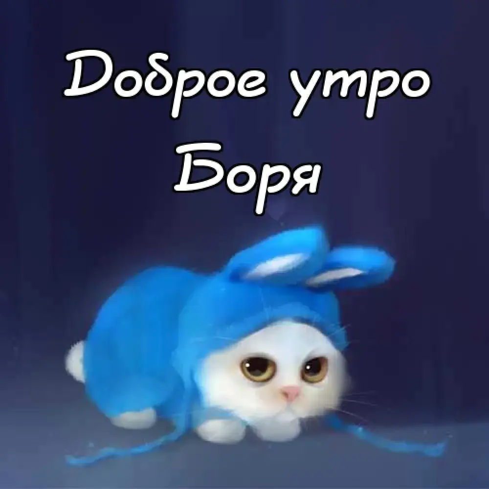 Открытка открытки с именем Борис - Котенок в шапке: открытка с милым котенком | Красивая открытка #56