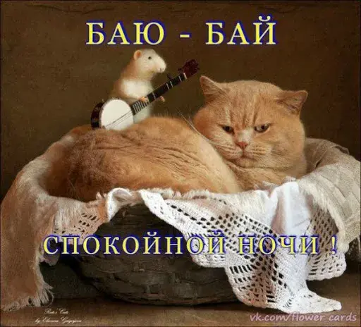 Открытка Сладких снов - Кошка с банджо: Открытка с котиком и музыкальным инструментом | Красивая открытка #10