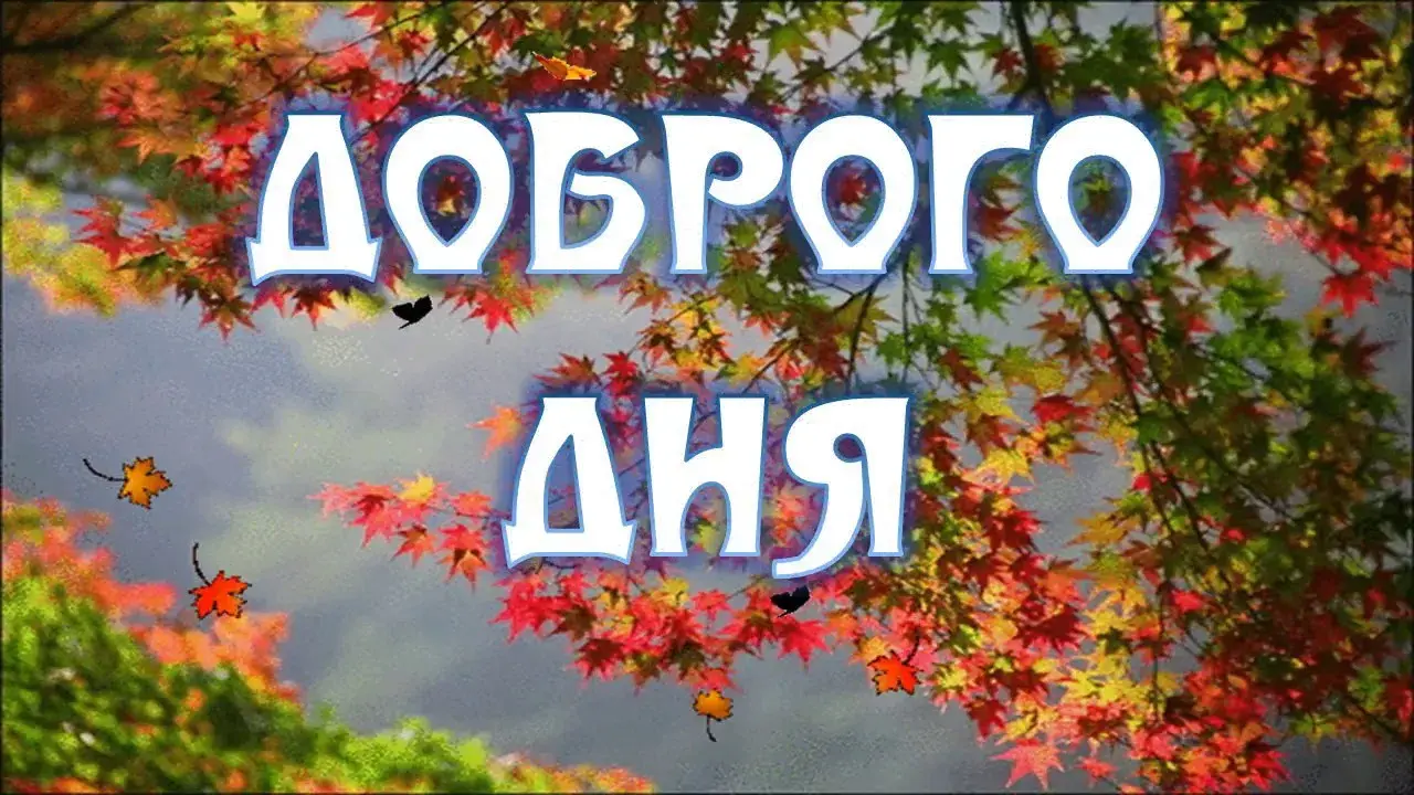 Открытка добрый день - Осенние листья, яркие цвета, открытка с природой | Красивая открытка #78