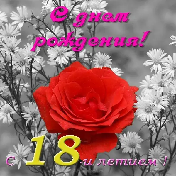 Открытка Открытки на 18 лет - Открытка с розами: поздравление с 18-летием | Красивая открытка #66