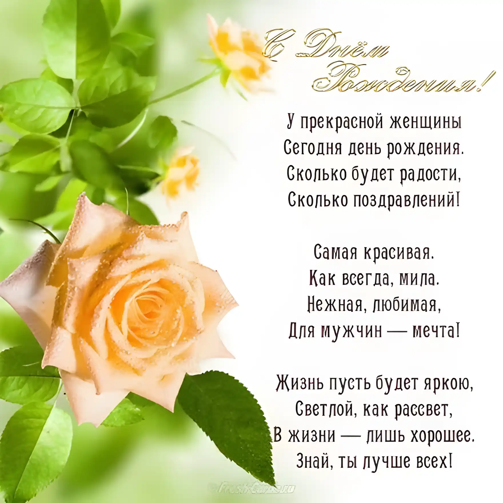 Открытка С желтыми розами - Открытка с розой: С Днем Рождения, красавица! | Красивая открытка #15