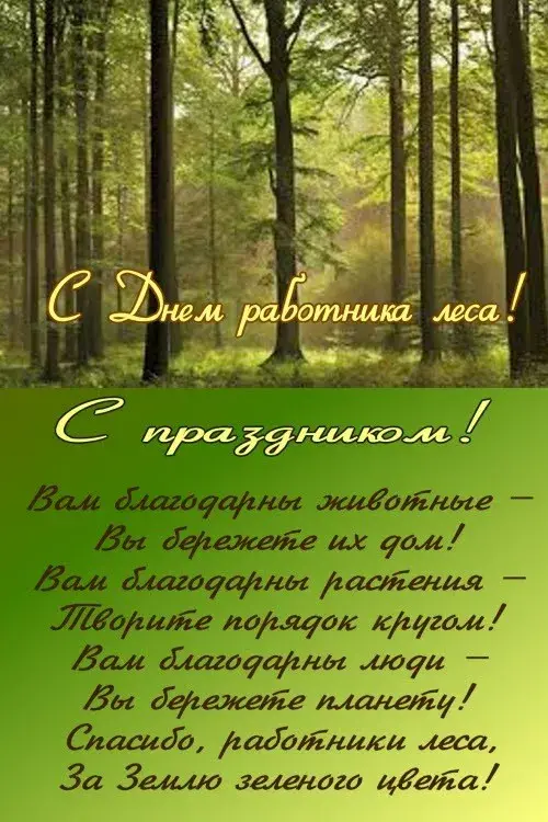 Открытка С днём работника леса - С Днем работника леса! Открытка с природой | Красивая открытка #2