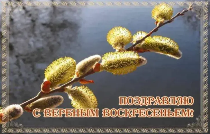 Открытка Вербное Воскресенье - Открытка с ветками вербы: С Пасхой! | Красивая открытка #263
