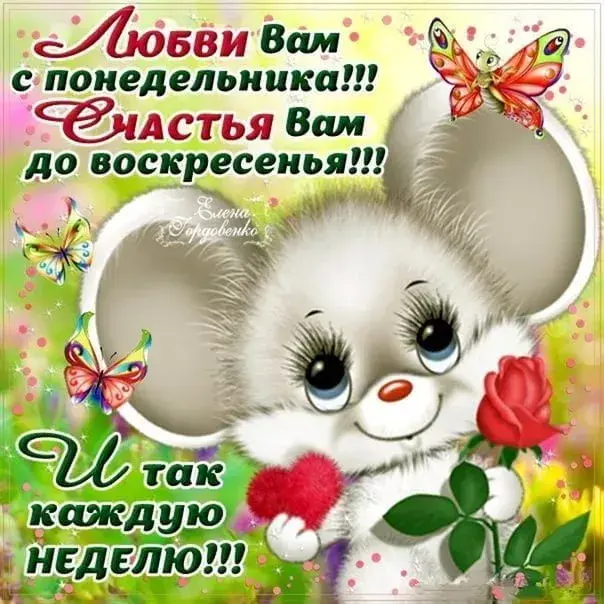 Открытка Удачного понедельника - Открытка с котенком и бабочками | Красивая открытка #1