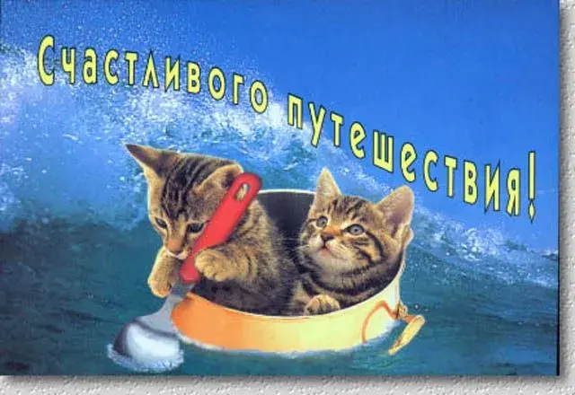 Открытка Счастливого пути - Две кошки на плоте, открытка с котами | Красивая открытка #46