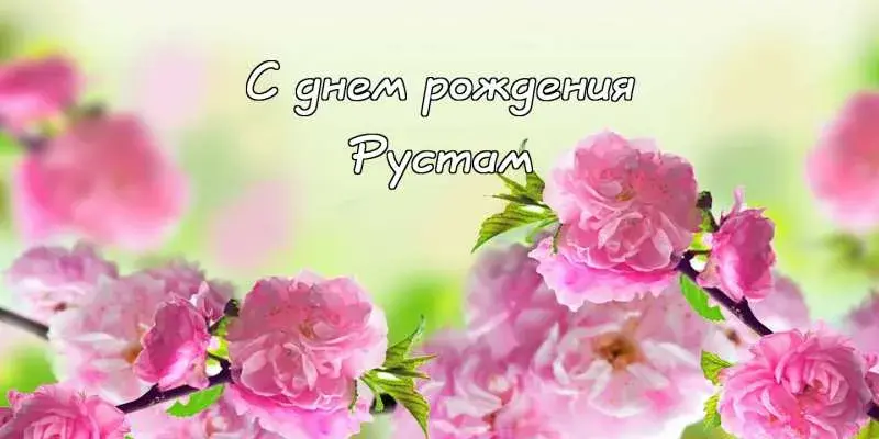 Открытка Открытки с именем Рустам - Цветы сакуры на открытке: поздравления с днем рождения | Красивая открытка #191