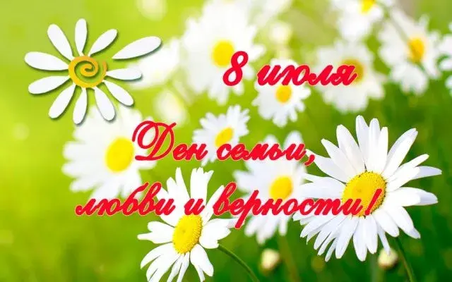 Открытка С ромашками - Открытка с ромашками | Красивая открытка #23