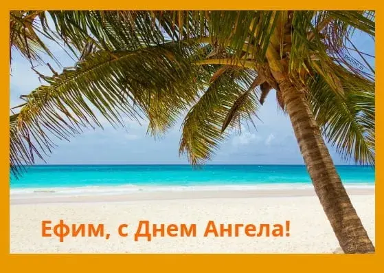 Открытка открытки с именем Ефим - Открытка: Пляж, пальма и бирюзовое море | Красивая открытка #156