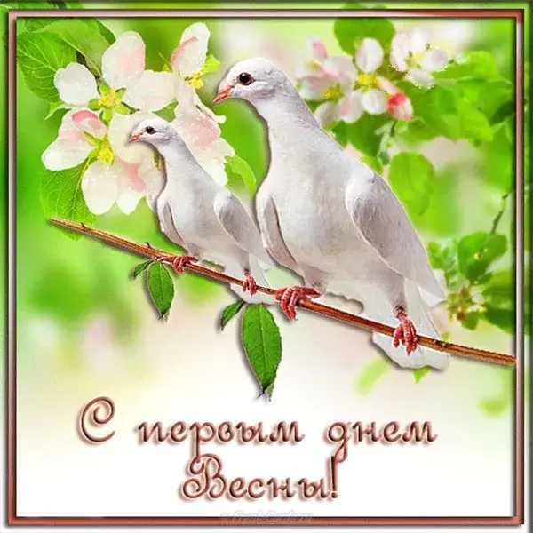 Открытка Первый день весны - Открытка с голубями и цветами: С днем весны! | Красивая открытка #175