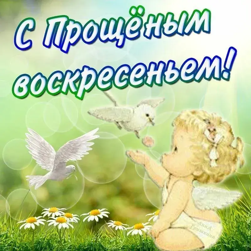 Открытка Прощённое воскресенье - Мальчик с птичкой: добрая открытка с солнцем и цветами | Красивая открытка #31