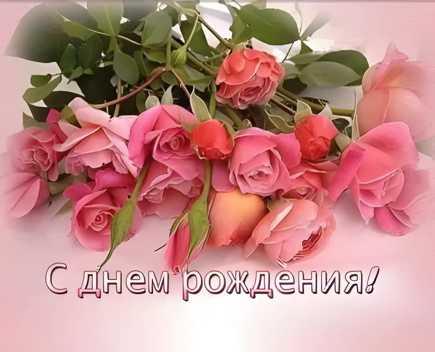 Открытка С розовыми розами - Розовые розы: поздравления с днем рождения | Красивая открытка #4