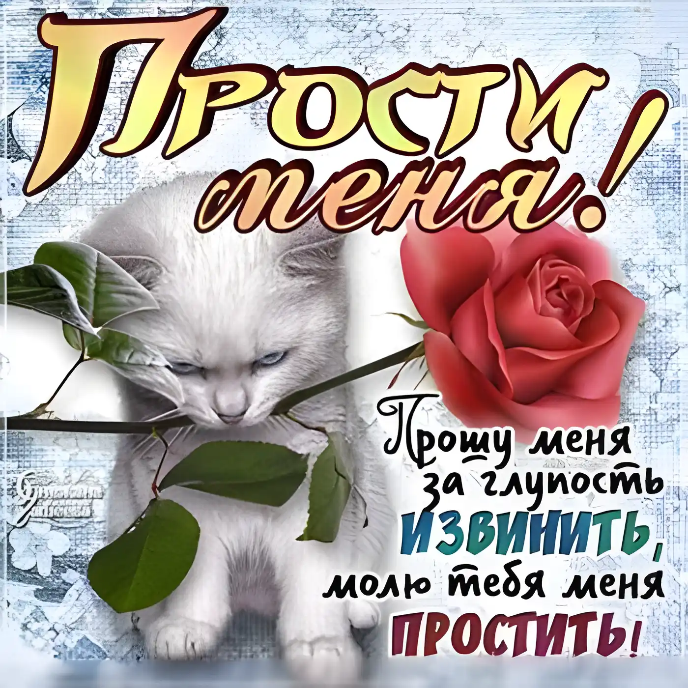 Открытка Прости - Открытка с котенком и розой: извинения, прощение | Красивая открытка #41