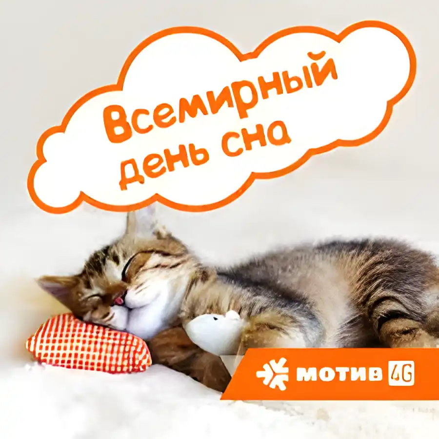 Открытка Открытки на Всемирный день сна - Спящий котёнок: милая открытка с котиком | Красивая открытка #21