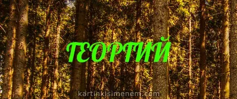 Открытка открытки с именем Георгий  - Хвойный лес: открытка с природой | Красивая открытка #132