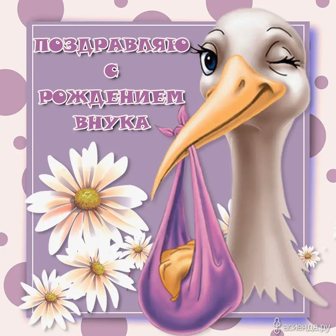 Открытка С рождением внука - Открытка с ласточкой и цветами | Красивая открытка #18
