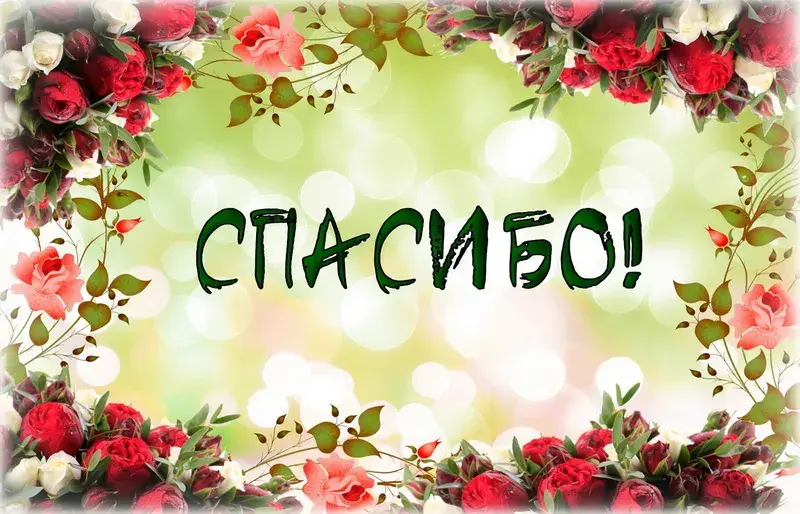 Открытка Спасибо - Открытка с цветами и надписью "Спасибо" | Красивая открытка #30