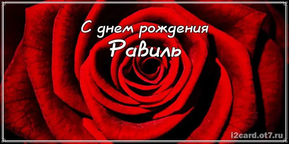 Открытка Открытки с именем Равиль - Красная роза: открытка с цветами  iCard | Красивая открытка #67